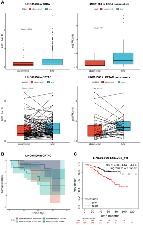 Mintage-Journal-Pharmaceutical-Medical-Sciences-lncRNAs-Expression